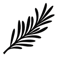ROSEMARY EXTRACTStimulates hair growth, improves scalp circulation and helps reduce thinning while strengthening hair for a fuller, healthier look.
